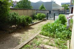 Le potager
