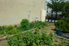 Le potager